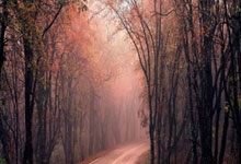 天博平台：官方：因球迷在多特vs拜仁的比赛中燃放焰火，拜仁被罚万欧.