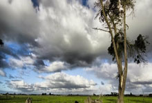 [英超]哈兰德禁区外远射破门 上演帽子戏法.