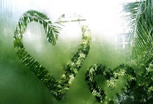 欧巡四冠王！李昊桐卡塔尔大师赛推鸟绝杀夺冠.