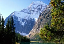 天博平台：一轮游也能拿5.8万！WTT重庆冠军赛激励方案：冠.