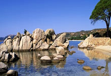 天博平台：官方：因球迷在多特vs拜仁的比赛中燃放焰火，拜仁被罚万欧.